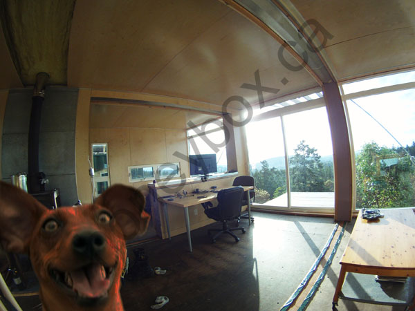 Shipping Container_House_GOPR9317