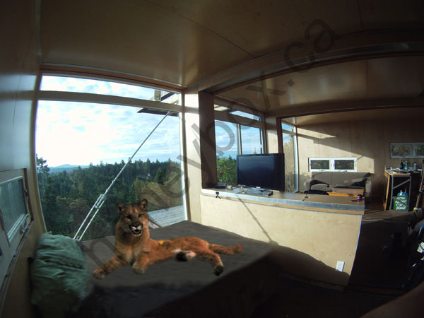 Shipping Container_House_GOPR9320